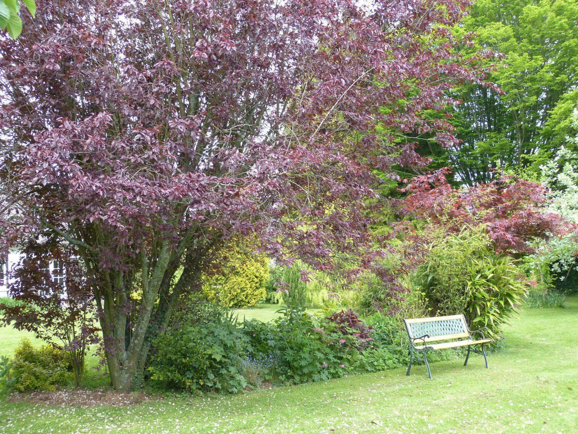 Le Petit Verger Grumesnil Bagian luar foto